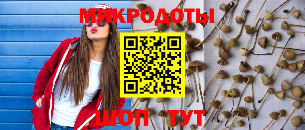 Шатура  Псилоцибиновые грибы Psilocybe  где можно купить наркотик  Вход с VPN 