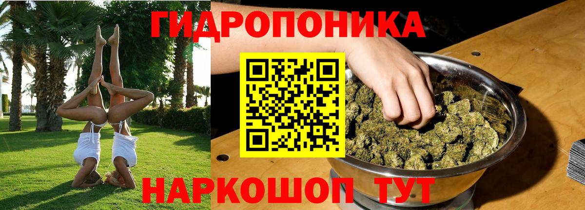 Бошки марихуана индика Шатура